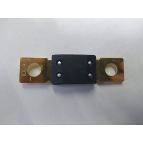 BIZTOSÍTÉK HIFI 100A